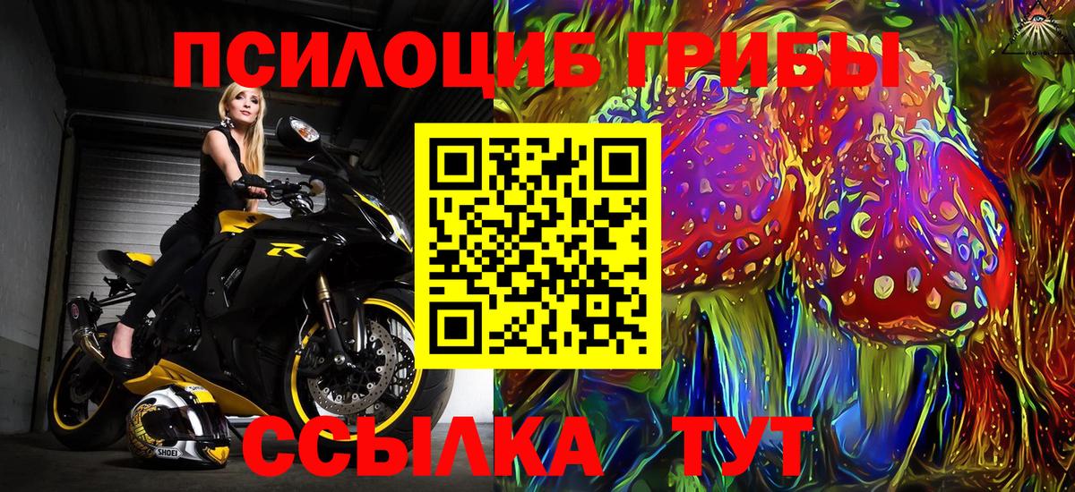 Псилоцибиновые грибы Cubensis  Галлюциногенные грибы ЛСД  закладки  Дальнереченск  Вход с VPN 